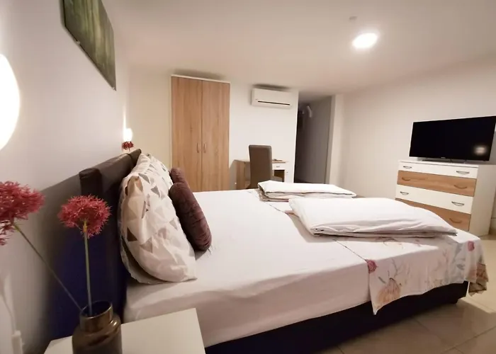 Pansion Makina ヴォディツェ